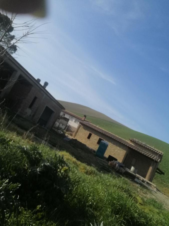 La Quinta Decima Bioagriturismo Fattoria Spedaletto Bagian luar foto