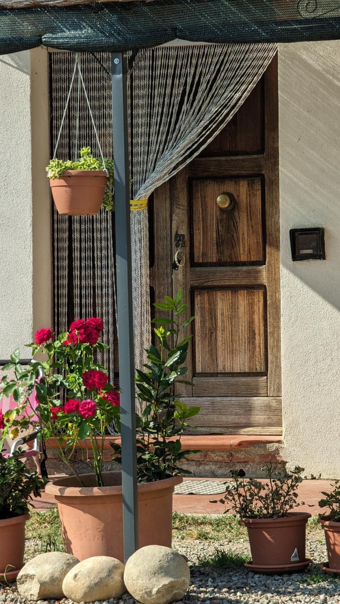 La Quinta Decima Bioagriturismo Fattoria Spedaletto Bagian luar foto